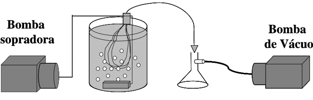 Figura 8 – Representação esquemática do sistema de ultrafiltração laboratorial 
