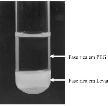 Figura 1: Sistema aquoso composto por PEG e Levana. 