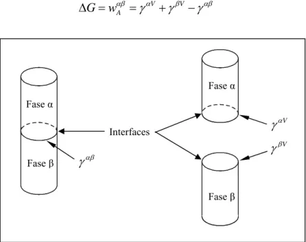 Figura 2: Tensão interfacial. Fase α  Fase  αFase β Fase βInterfacesαβγ VαγVβγ