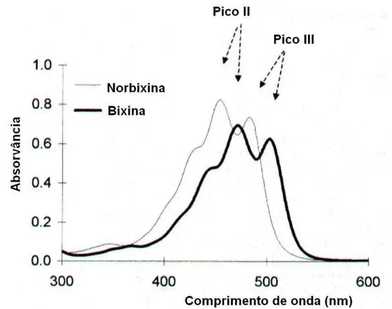 Figura 6 : Curvas espectrofotométricas da bixina e da norbixina.  Fonte: LEVY e RIVADENEIRA (2000)