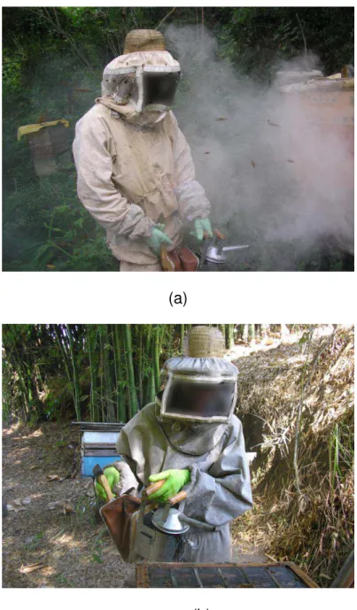 Figura  2  -  Uso  abusivo  (a)  e  uso  correto  de  fumaça  (b)  durante  o  manejo de colméias para produção de mel