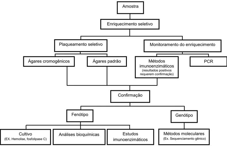 Figura 1- Métodos de detecção de L. monocytogenes em alimentos.  Adaptado de Gasanovet al