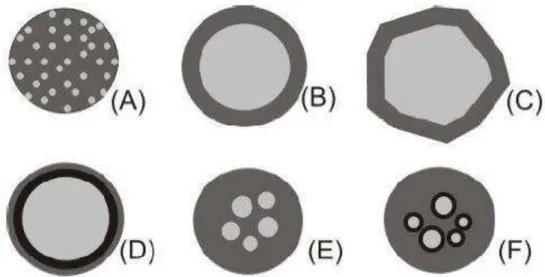 Figura 2 - Alguns modelos de microcápsulas. (A): matriz (microsfera), que é o  tipo  produzido  pela  microencapsulação  por  atomização;  (B):  microcápsula  simples;  (C):  simples,  irregular;  (D):  duas  paredes;  (E):  vários  núcleos;  (F):  agrupam