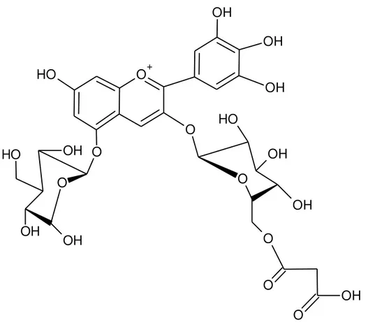 Figura  2  –  Estrutura  química  de  uma  antocianina,  defilnidina-3-malonilglicosídeo-5- defilnidina-3-malonilglicosídeo-5-glicosídeo