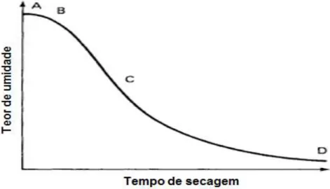 Figura 6 - Curva de secagem. 