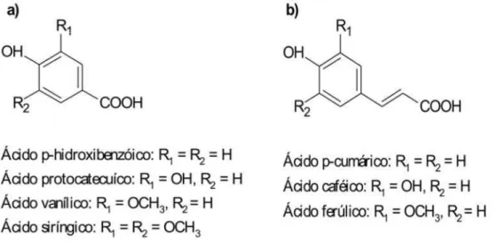 Figura 7 - Estrutura química dos ácidos hidroxibenzóicos (a) e hidroxicinâmicos 