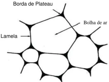 Figura 3 - Estrutura da espuma.  Fonte: Muthukumaran et al. (2008).