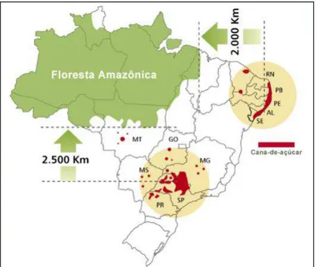 Figura 1: Mapa da produção de cana-de-açúcar no Brasil.   Fonte: UNICA, 2012. 