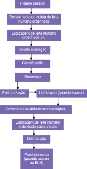 Figura 2. Fluxograma do funcionamento de um banco de leite humano. Fonte: ANVISA, 2008.