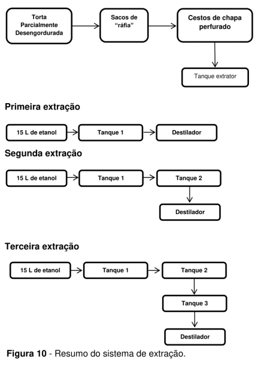 Figura 10 - Resumo do sistema de extração. 
