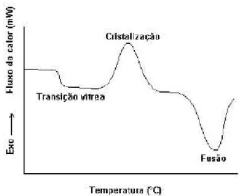 Figura 5 - Exemplo de um termograma de DSC. Fonte: FLINCKER, 2005 