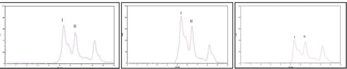 Figura 6 - Perfil de separação de proteínas totais, extraíveis e não-extraíveis da farinha de  arroz por SE-HPLC 