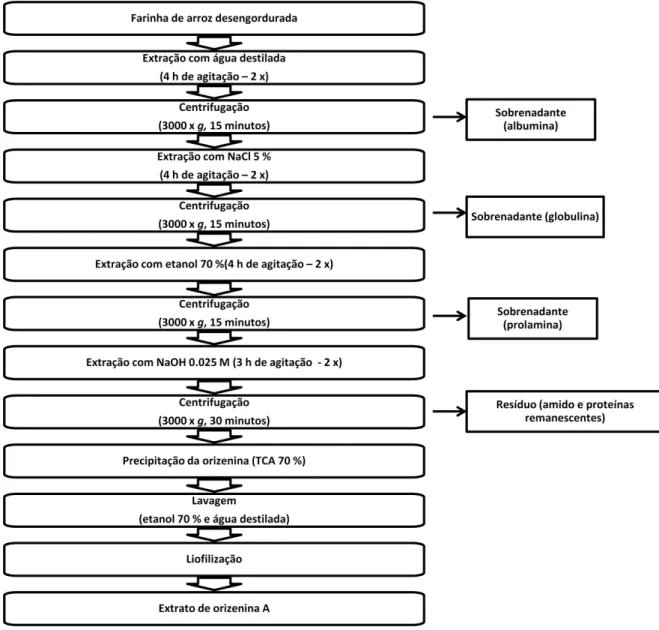 Figura 7 - Fluxograma de extração de proteínas da farinha de arroz pelo método A (Fonte:  Zarins e Chrastil, 1992)