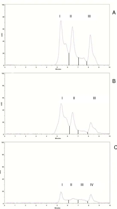 Figura 6  – Cromatogramas das frações das proteínas extraídas da farinha de arroz. A fração  total (A), não extraível (B) e extraível (C)