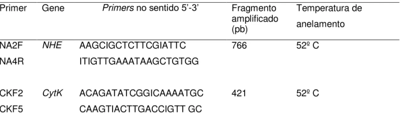 Tabela 3- Primers usados na pesquisa de enterotoxinas  Primer  Gene  Primers no sentido 5’-3’  Fragmento  amplificado  (pb)  Temperatura de anelamento  NA2F  NA4R  CKF2  CKF5  NHE  CytK  AAGCIGCTCTTCGIATTC  ITIGTTGAAATAAGCTGTGG  ACAGATATCGGICAAAATGC CAAGTI