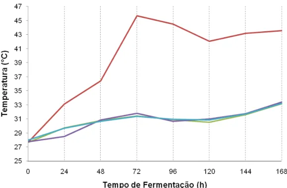Figura  7:  Variação  da  temperatura  durante  a  fermentação  em  função  do  tempo  (hora) das massas de sementes de cacau dos diferentes tratamentos (  ▬  controle, 