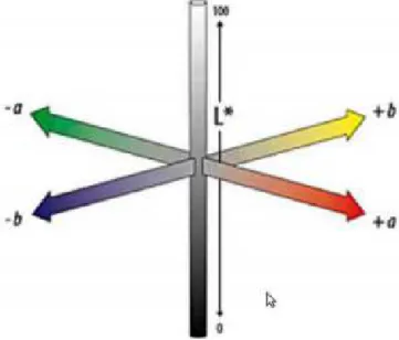 Figura 9 – Modelo de cor CIELAB 