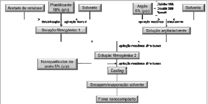 Figura 4. Diagrama empregado no preparo dos filmes nanocompósitos 