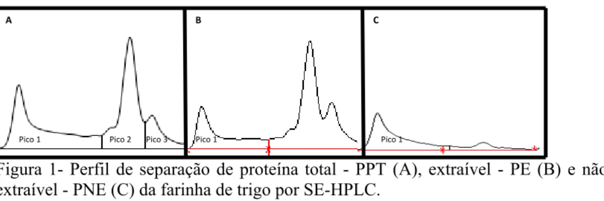 Figura 1- Perfil de separação de proteína total - PPT (A), extraível - PE (B) e não  extraível - PNE (C) da farinha de trigo por SE-HPLC