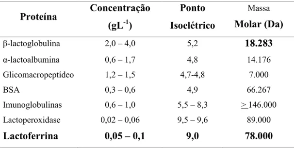 Tabela  2.  Composição  protéica  do  soro  de  leite  (Adaptado  de  MORR  e  HA,1993;  MILLER et al.,2000)