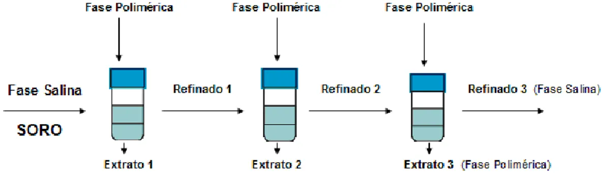 Figura 3 – Representação esquemática dos 3 estágios de extração líquido(líquido em  SAB, em batelada