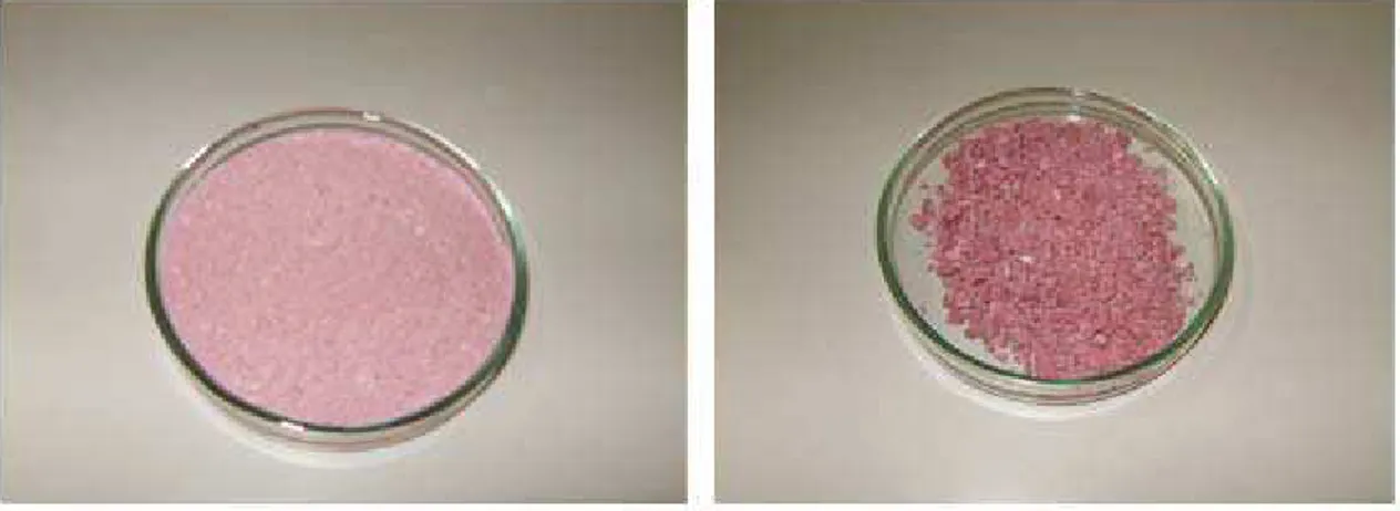 Figura 9  –  Fotos das polpas e extratos de mirtilo em pó em função dos tratamentos,  (A) polpa atomizada; (B) polpa liofilizada; (C) extrato atomizado e (D) extrato liofilizado