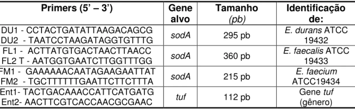 Tabela 2. Primer para identificação do gênero e espécies de Enterococcus  Primers (5’ – 3’)  Gene  alvo  Tamanho   (pb) Identificação de:  DU1 - CCTACTGATATTAAGACAGCG 