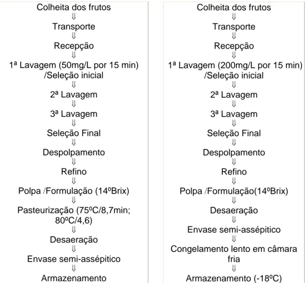 Figura -1 Fluxograma de obtenção de            Figura -2 Fluxograma de obtenção de           polpa pasteurizada                                          polpa congelada 