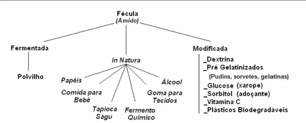 Figura 1. Utilização de amido de mandioca no Brasil.