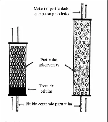 Figura 1. Processos de adsorção em leito fixo e leito expandido. 