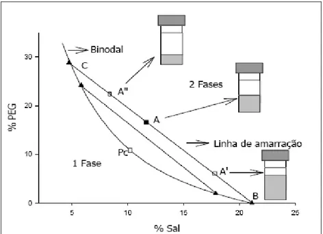 Figura 3. Diagrama de fase para sistemas aquosos bifásicos, expresso em  coordenadas retangulares