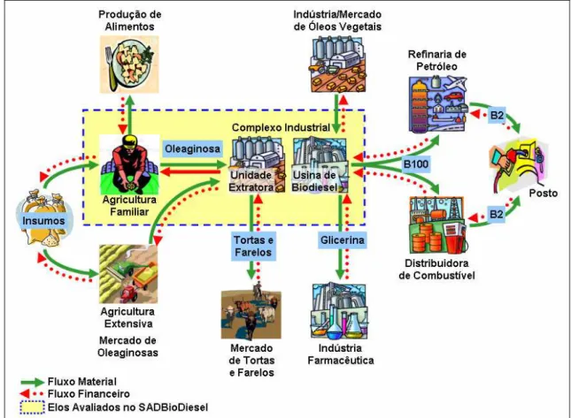 Figura 9.  Cadeia de Produção de Biodiesel avaliada pelo SADBioDiesel. 