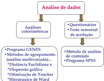 Figura 3.3. Estrutura da análise dos dados coletados. 