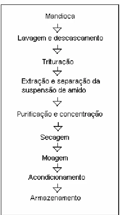 Figura 2: Fluxograma da produção de fécula de mandioca  