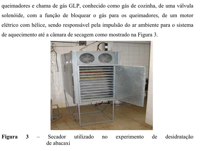 Figura 3 – Secador utilizado no experimento  de  desidratação                         de abacaxi 