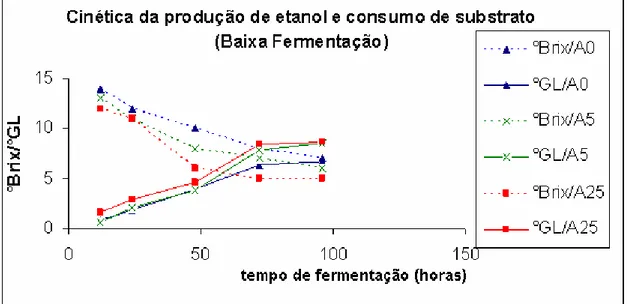 Figura 1- Evolução da fermentação alcoólica com levedura Saflager e adição  de sulfato de amônio