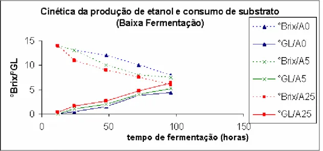 Figura 3 – Evolução da fermentação alcoólica com levedura Saflager e    adição de um pool aminoácidos