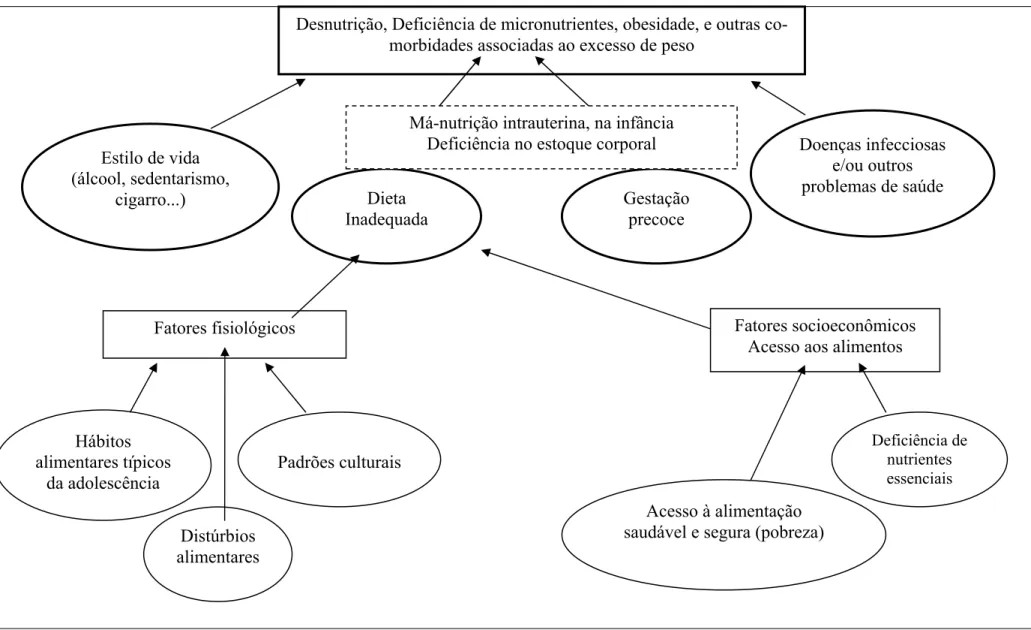 Figura I - Estrutura conceitual dos problemas nutricionais e suas causas na adolescência 