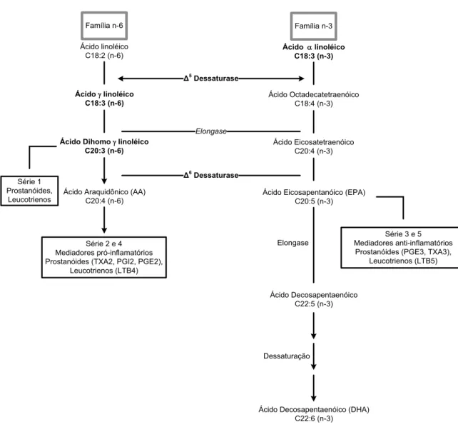 Figura  1  -  Metabolismo dos ácidos graxos essenciais. TX-  tromboxanos; PG-      Prostaglandinas; LT-Leucotrienos;  