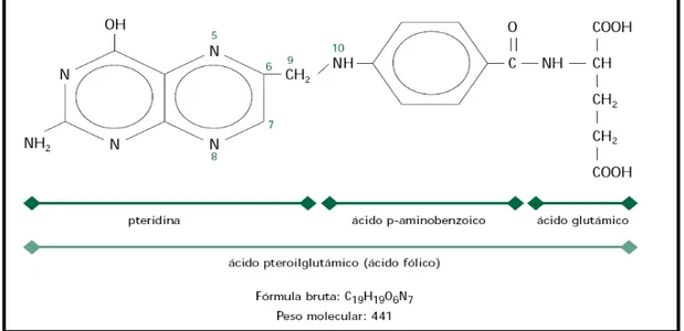 Figura 1: Estrutura química do ácido pteroilglutâmico.            Fonte: Varela-Moreiras et al., 2000