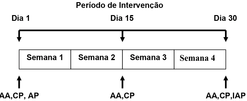 Figura 1: Desenho experimental do estudo. As avaliações antropométricas  (AA) e da composição corporal (CP) foram realizadas no 1 o , 15 o  e  30 o  dia de cada período de intervenção