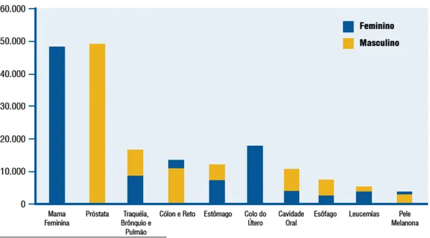Figura 2.2 Tipos de câncer mais incidentes, estimados para o ano de 2008, na 