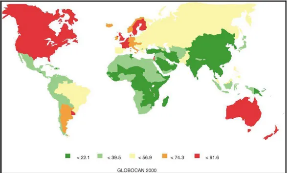 Figura 2.3 Incidência mundial do câncer de mama: taxa ajustada por idade 