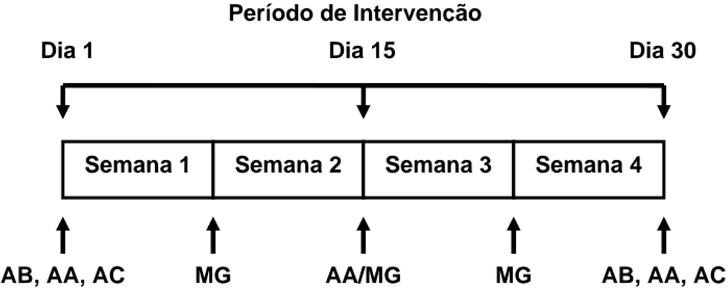 Figura 1: Desenho experimental do estudo. As medidas antropométricas  (AA) foram avaliadas ao início, aos 15 dias e ao final do período de  intervenção