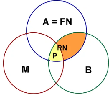 Figure 1 - BAM Diagram for representing the fundamental niche (SOBERÓN, 2005). 