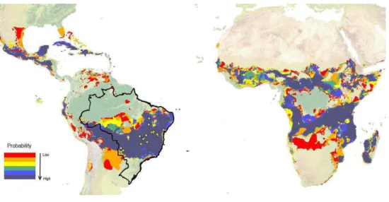 Figure 4 - A possible potential geographic distribution of M. urundeuva. 