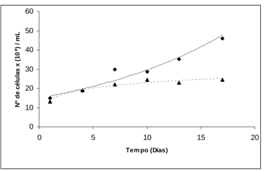 Figura 2: Curvas de crescimento de Phormidium  sp. ANT 01 (controle) ( ♦) e de  Phormidium sp