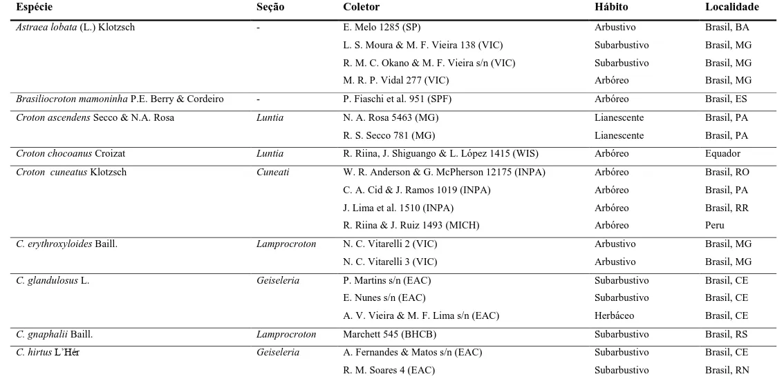 Tabela 1  Táxons de Euphorbiaceae estudados e informações dos exemplares analisados contidas nas fichas de identificação