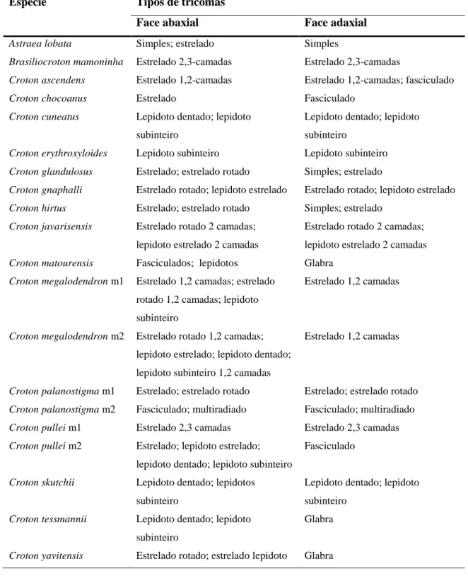 Tabela  3  Tipos  de  tricomas  encontrados  em  folhas  de  espécies  analisadas,  segundo 