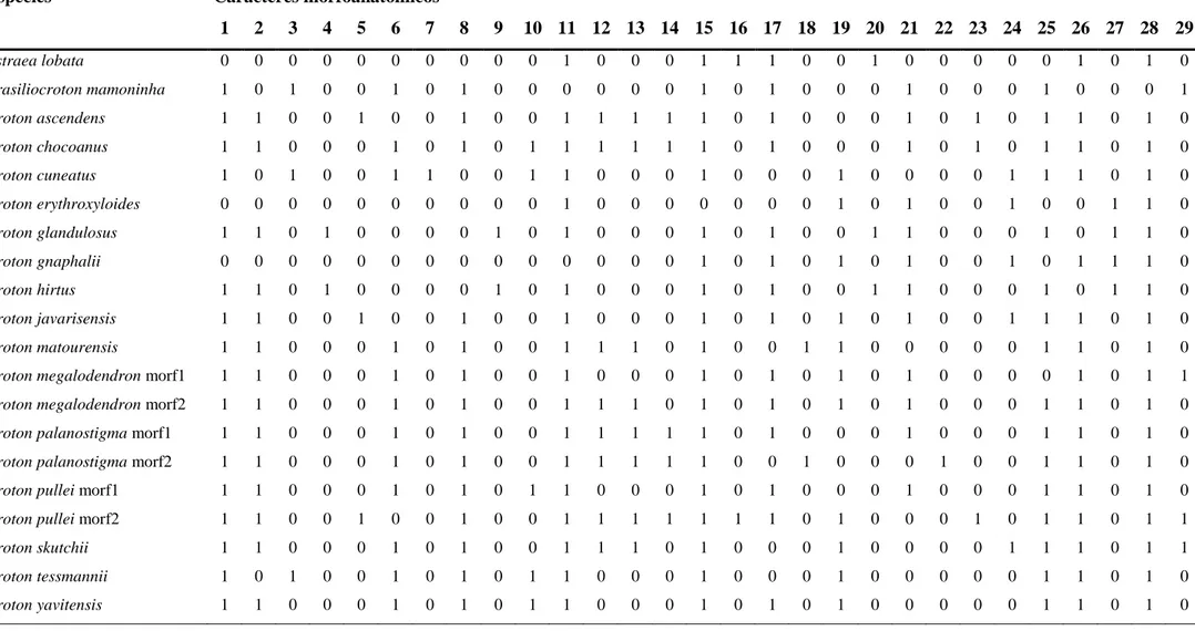 Tabela 4 Matriz de presença (1) e ausência (0) de caracteres anatômicos nas espécies estudadas  Espécies  Caracteres morfoanatômicos 